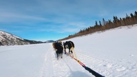 Life Below Zero First Alaskans S02E03 720p WEB h264-EDITH EZTV