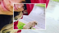 Vanderpump Dogs S01E01 720p WEB h264-KOGi EZTV