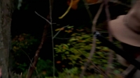 Mountain Monsters S03E06 WEB h264-CROSSFIT[eztv]