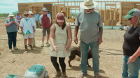 Building Off the Grid S13E03 1080p HEVC x265-MeGusta EZTV