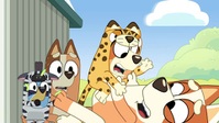 Bluey S03E31 XviD-AFG EZTV Bluey S03E31 XviD-AFG EZTV