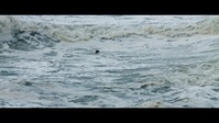 100 Foot Wave S01E01 720p WEB H264-BIGDOC EZTV 100 Foot Wave S01E01 720p WEB H264-BIGDOC EZTV