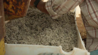 Building Off the Grid S13E03 XviD-AFG EZTV Building Off the Grid S13E03 XviD-AFG EZTV