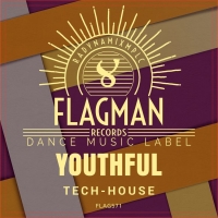 VA - Youthful Tech House (2019)