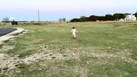 Fixer Upper The Castle S01E04 720p HEVC x265-MeGusta EZTV