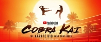 Cobra Kai S02 720p RED WEBRip AAC5 1
