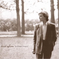 David Sylvian - Brilliant Trees (1984) [EAC-FLAC]