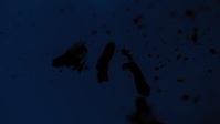 Urban Legend 2022 S01E02 XviD-AFG EZTV