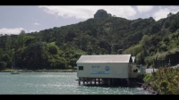 The Sounds S01E04 Playing the Odds XviD-AFG EZTV The Sounds S01E04 Playing the Odds XviD-AFG EZTV