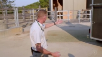 Inside Taronga Zoo S01E10 XviD-AFG EZTV