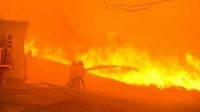 BBC Panorama - Australia Burning 720p MP4 + subs BigJ0554