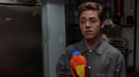 Shameless US S09E12 720p WEB x265 6CH ReEnc-LUMI