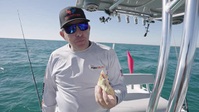The Fish Guys S05E01 XviD-AFG EZTV
