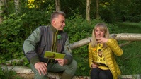 Springwatch S18E03 XviD-AFG EZTV Springwatch S18E03 XviD-AFG EZTV