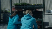 Wentworth S05E12 PDTV x264-NOGRP[eztv]