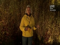 Autumnwatch S15E03 480p x264-mSD EZTV