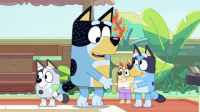 Bluey S02E26 iNTERNAL XviD-AFG EZTV Bluey S02E26 iNTERNAL XviD-AFG EZTV