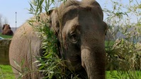 Animal Park S18E10 XviD-AFG EZTV Animal Park S18E10 XviD-AFG EZTV