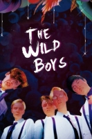 The Wild Boys 2017 DVDRip x264-RedBlade[TGx]