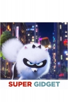 Super Gidget 2019 1080p BluRay x264-FLAME[TGx]