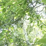 Model Camp S01E02 720p UHDTV x264-CBFM[TGx]
