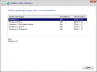 Windows 8.1 x86 [PL] [2019.06-NiKKA]