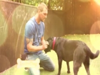 Lucky Dog S07E10 480p x264-mSD [eztv]