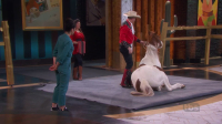 Stupid Pet Tricks S01E02 1080p HEVC x265-MeGusta EZTV Stupid Pet Tricks S01E02 1080p HEVC x265-MeGusta EZTV