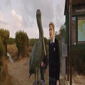 Storm Boy 2019 BDRip XviD AC3 WoW