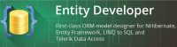 Devart Entity Developer Professional v6.6.872 + Patcher [FTUApps]