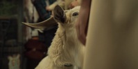 Servant S04E06 720p WEB H264-CAKES EZTV Servant S04E06 720p WEB H264-CAKES EZTV