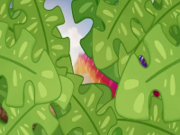 Dino Pops S01E07 480p x264-mSD EZTV