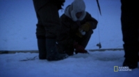 Life Below Zero S07E05 720p HDTV x264-CURIOSITY EZTV
