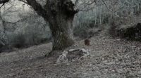 The Head Hunter (2018) [BluRay] [720p] [YTS] [YIFY]