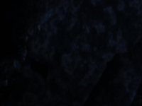 Tower of God S02E10 480p x264-mSD EZTV
