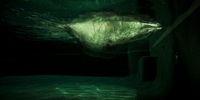 Wolf Pack S01E05 1080p HEVC x265-MeGusta EZTV Wolf Pack S01E05 1080p HEVC x265-MeGusta EZTV