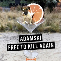 Adamski - Free to Kill Again (2020) (320) [DJ]