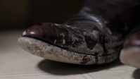 Snapped S29E13 1080p HEVC x265-MeGusta EZTV Snapped S29E13 1080p HEVC x265-MeGusta EZTV