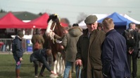 Springtime On the Farm S06E08 XviD-AFG EZTV Springtime On the Farm S06E08 XviD-AFG EZTV