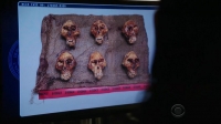 NCIS S14E22 HDTV x264-SVA[eztv]