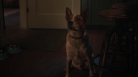 Riverdale US S06E21 XviD-AFG EZTV Riverdale US S06E21 XviD-AFG EZTV
