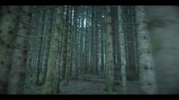 Parallels S01E06 720p HEVC x265-MeGusta EZTV