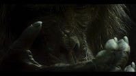 Chimp Empire S01E03 XviD-AFG EZTV Chimp Empire S01E03 XviD-AFG EZTV