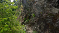 Expedition Bigfoot S06E04 XviD-AFG EZTV