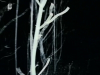 The Alaska Triangle S01E02 480p x264-mSD EZTV The Alaska Triangle S01E02 480p x264-mSD EZTV