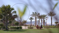 Dubai Bling S01E04 XviD-AFG EZTV