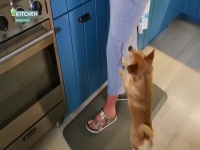 The Kitchen S26E02 Weeknight Warrior 480p x264-mSD EZTV