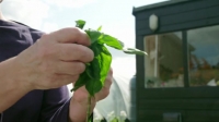 Gardeners World S51E26 HDTV x264-DOCERE [eztv]