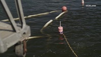 Balls Deep S01E02 1080p WEB H264-CBFM EZTV