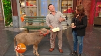Rachael Ray 2017 09 21 HDTV x264-W4F[eztv]